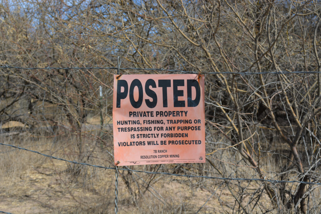 Outside the town of Mammoth, is a mesquite forest owned by the Resolution Copper mining company. The forest is the centerpiece of the company’s land exchange with the federal government to acquire land outside the town of Superior for a controversial mine that would destroy a sacred site for the Western Apache.