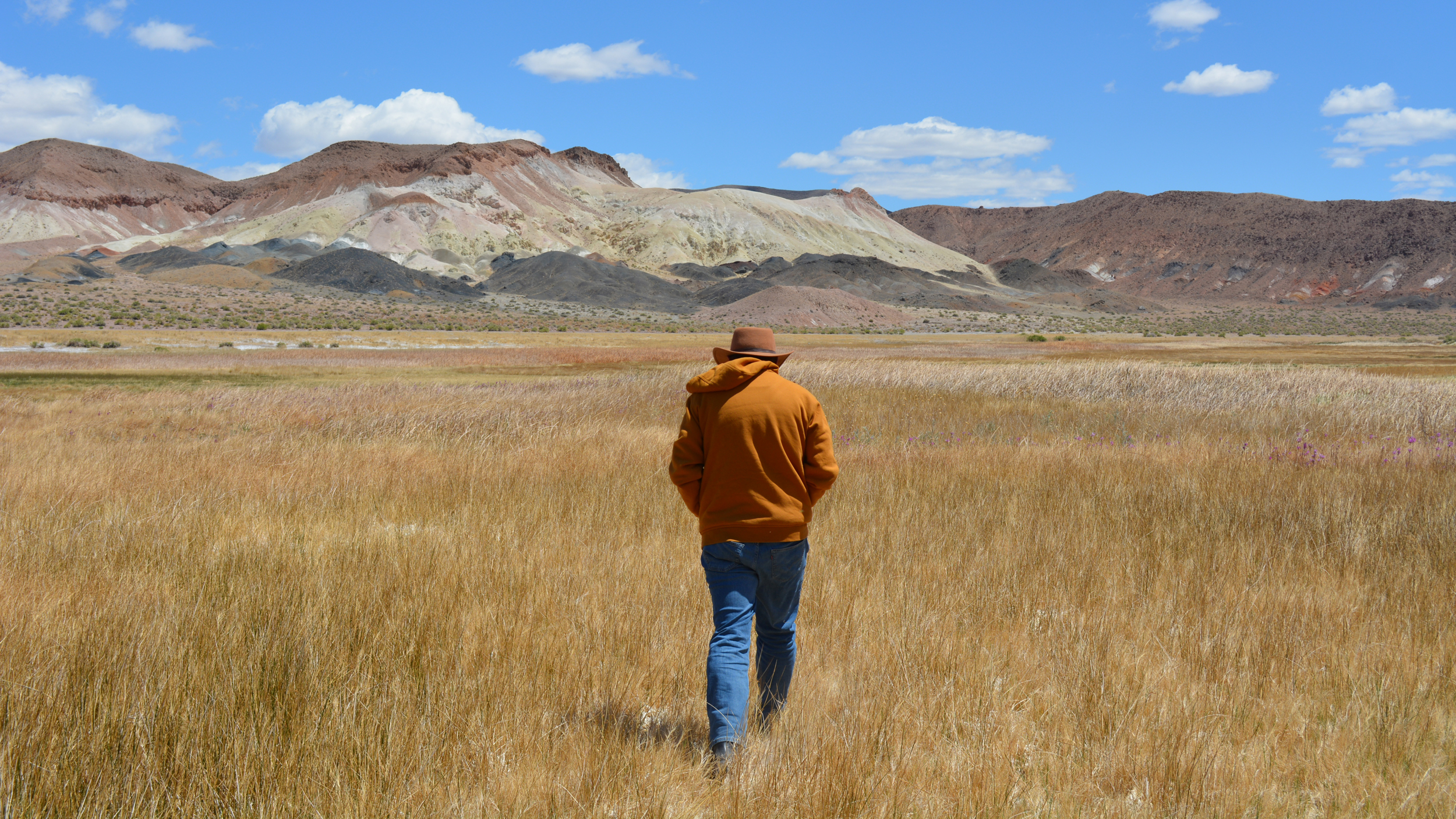 Patrick Donnelly, the Great Basin director for the Center for Biological Diversity, walks through an alkaline meadow in Fish Lake Valley on May 6. The valley used to be home to a series of streams and lakes that once provided habitat for fish like the Fish Lake Valley tui chub. Credit: Wyatt Myskow/Inside Climate News