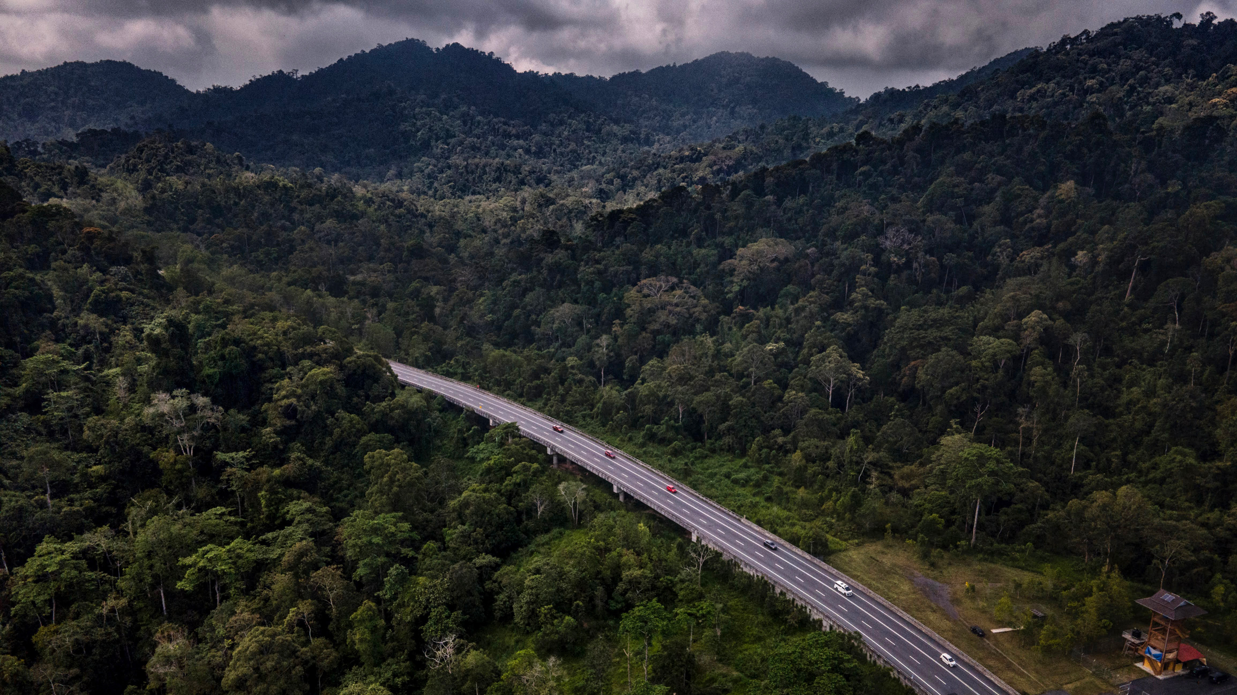 An animal viaduct built on the East-West Highway is elevated to allow wildlife to safely pass under the road. This highway is notorious for road kill, including wild elephants.