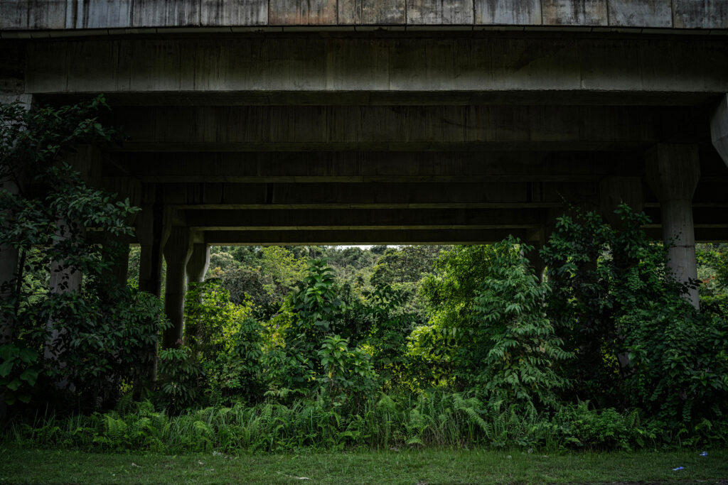 The Sungai Yu Forest Reserve Eco-Viaduct was built in 2014 to create a wildlife corridor in an effort to connect the Central Forest Spine with Taman Negara National Park. Above it passes a busy divided highway.