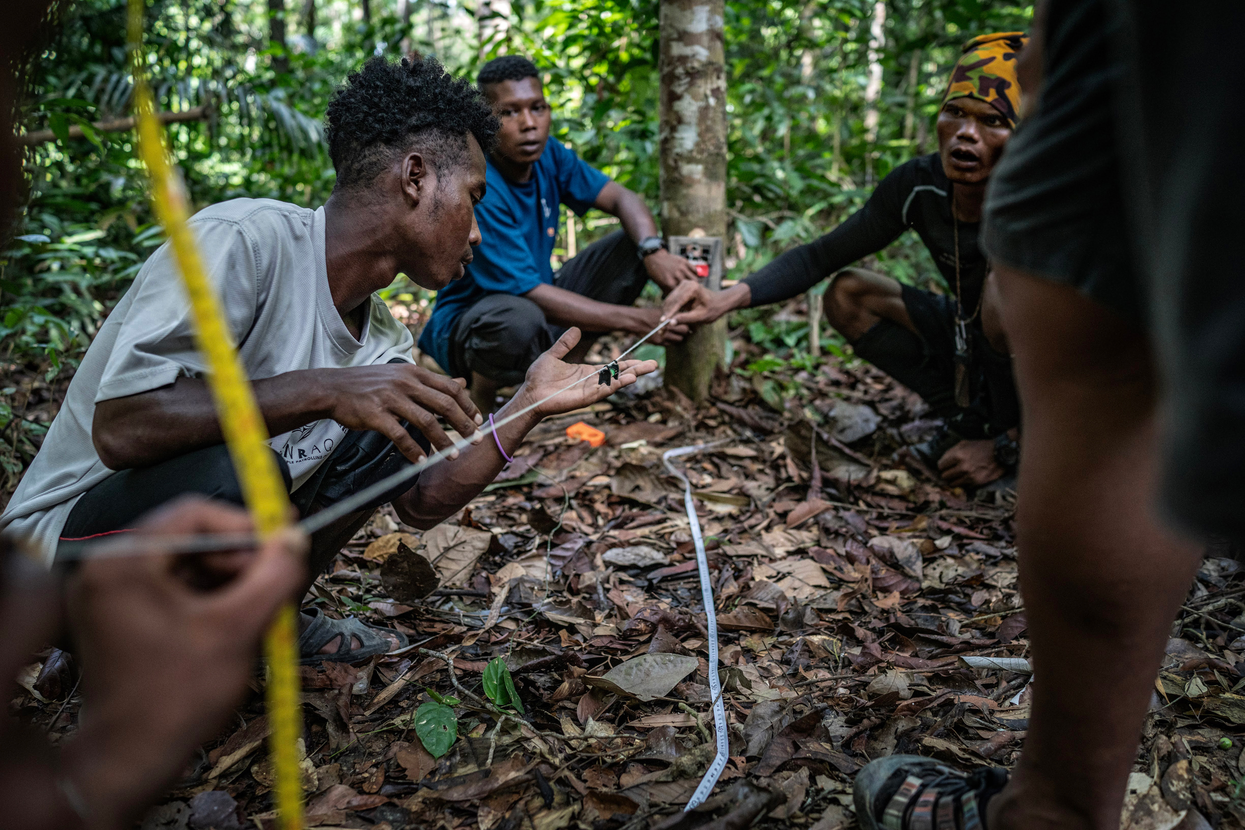 Indigenous Jahai men from the “Menraq,” anti-poaching project carefully set up a camera trap to gauge the wildlife passing through and to see if there are any poachers.