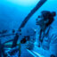 Marine biologist Diva Amon explores the deep sea around the Saint Peter and Saint Paul Rocks in the Atlantic Ocean, off the coast of Brazil. Credit: Novus Select/bioGraphic