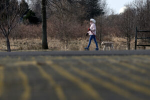 A person walks their dog at Warminster Community Park located on the former Naval Air Warfare Center Warminster site in Bucks County, Pa. Former military bases in the area are linked to contaminated drinking water, affecting tens of thousands of residents in Bucks and Montgomery Counties in Eastern Pennsylvania. Credit: Bastiaan Slabbers/NurPhoto via Getty Images