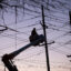 Utility workers service a power line in Ridgefield N.J. Credit: EMAZ/VIEWpress via Getty Images