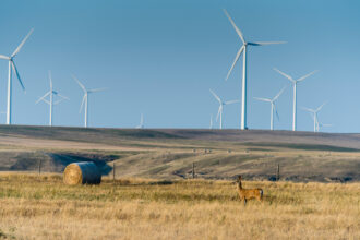 A deer roams in front of a wind farm on a private ranch near Kevin, Mont. Credit: William Campbell-Corbis via Getty Images
