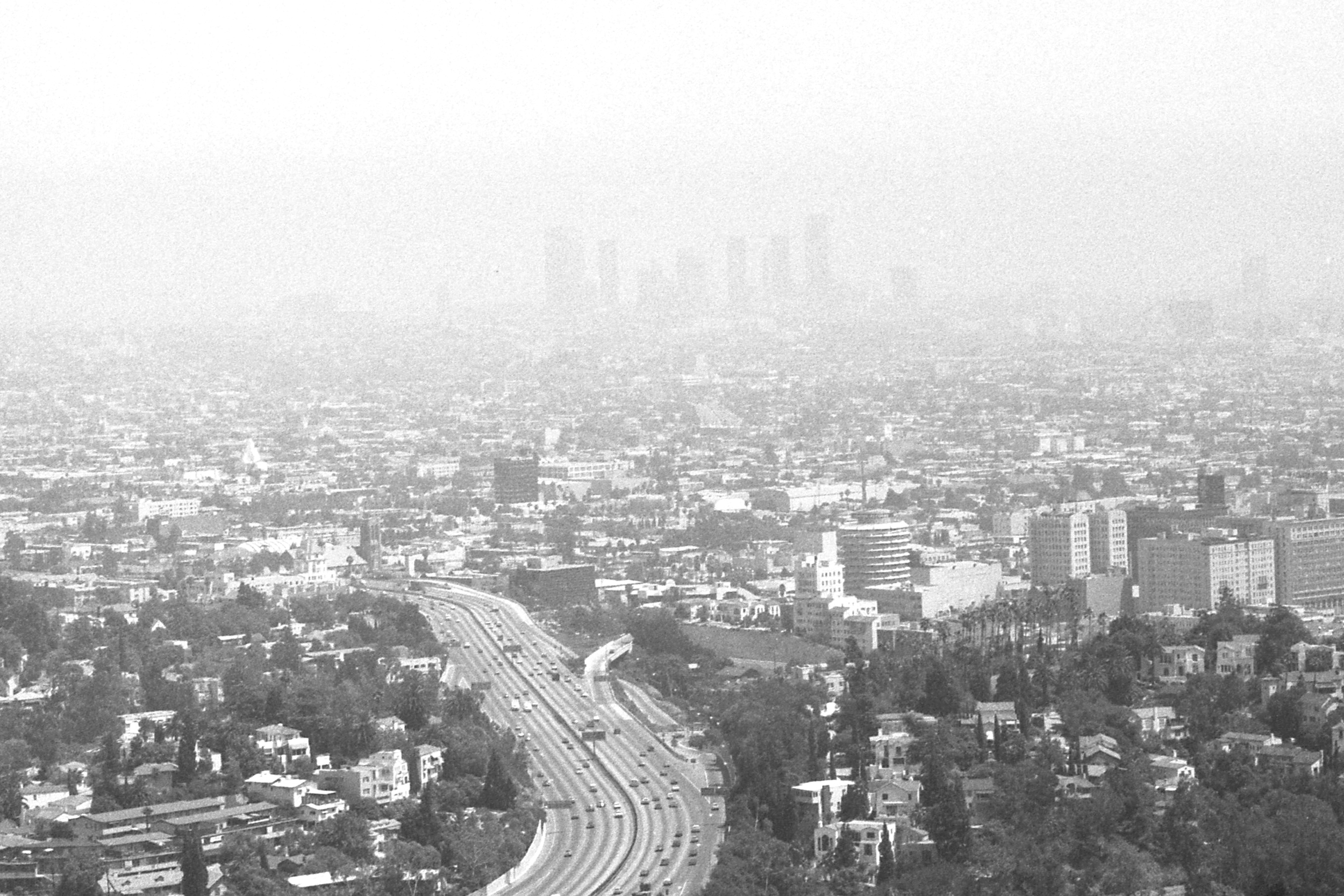 A blanket of smog covers downtown Los Angeles as seen from Mulholland Drive in 1984. Credit: UCLA Library, Los Angeles Times Photographic Collection