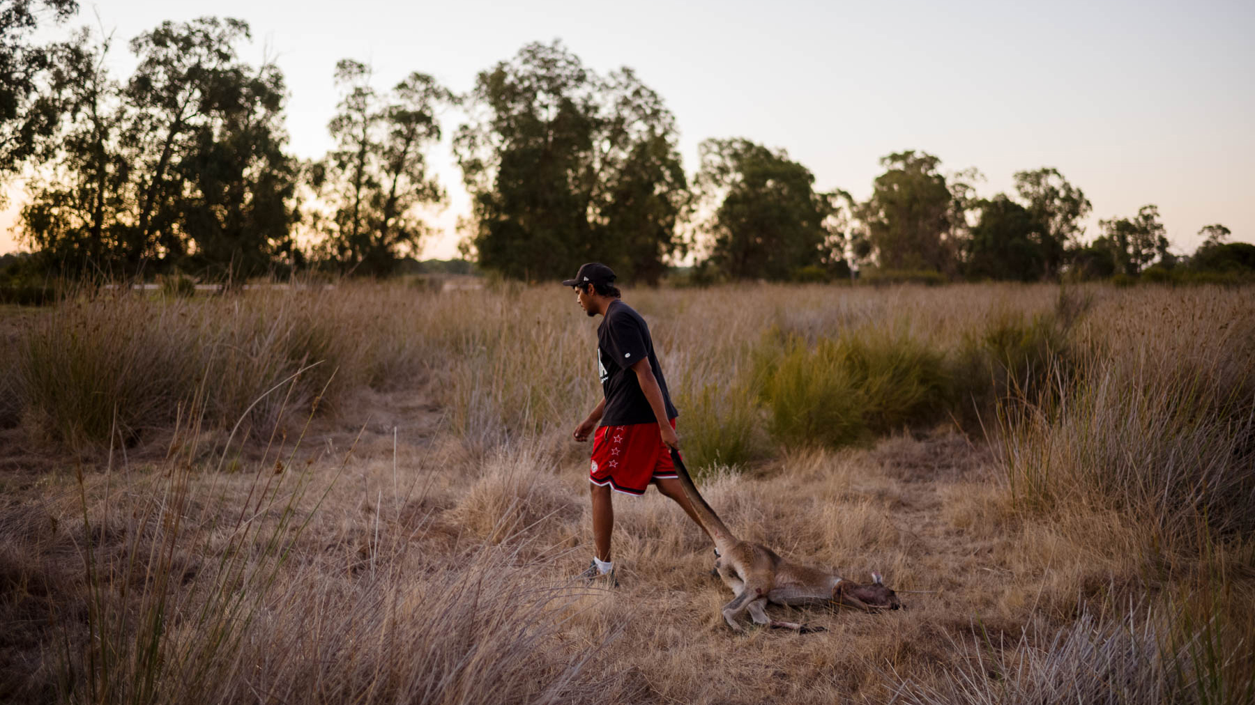 "A person in a black shirt and red shorts walks through dry grassland, dragging a kangaroo by its tail; trees are visible in the background.