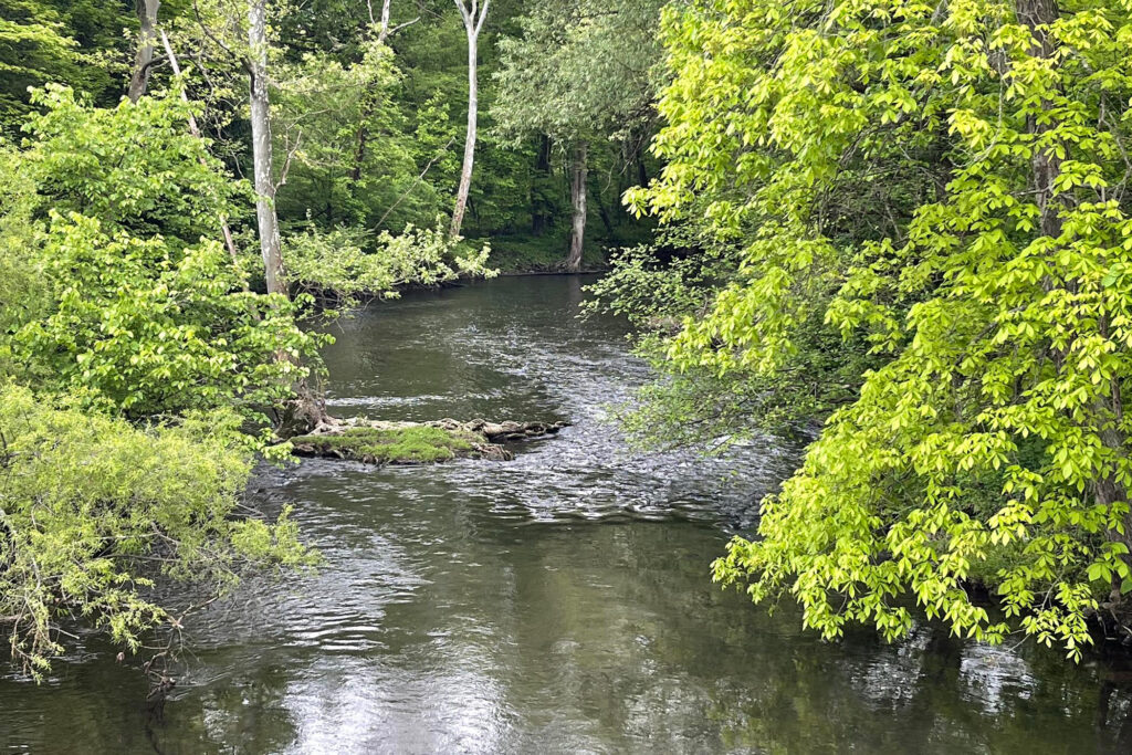 Black Run, a small stream, flows into Wolf Creek in Mercer County, Pennsylvania. Credit: Courtesy of Jane Cleary