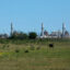 The Hays Energy Project, a 990 MW gas-fired power plant near San Marcos, is seen on May 27. Credit: Dylan Baddour/Inside Climate News
