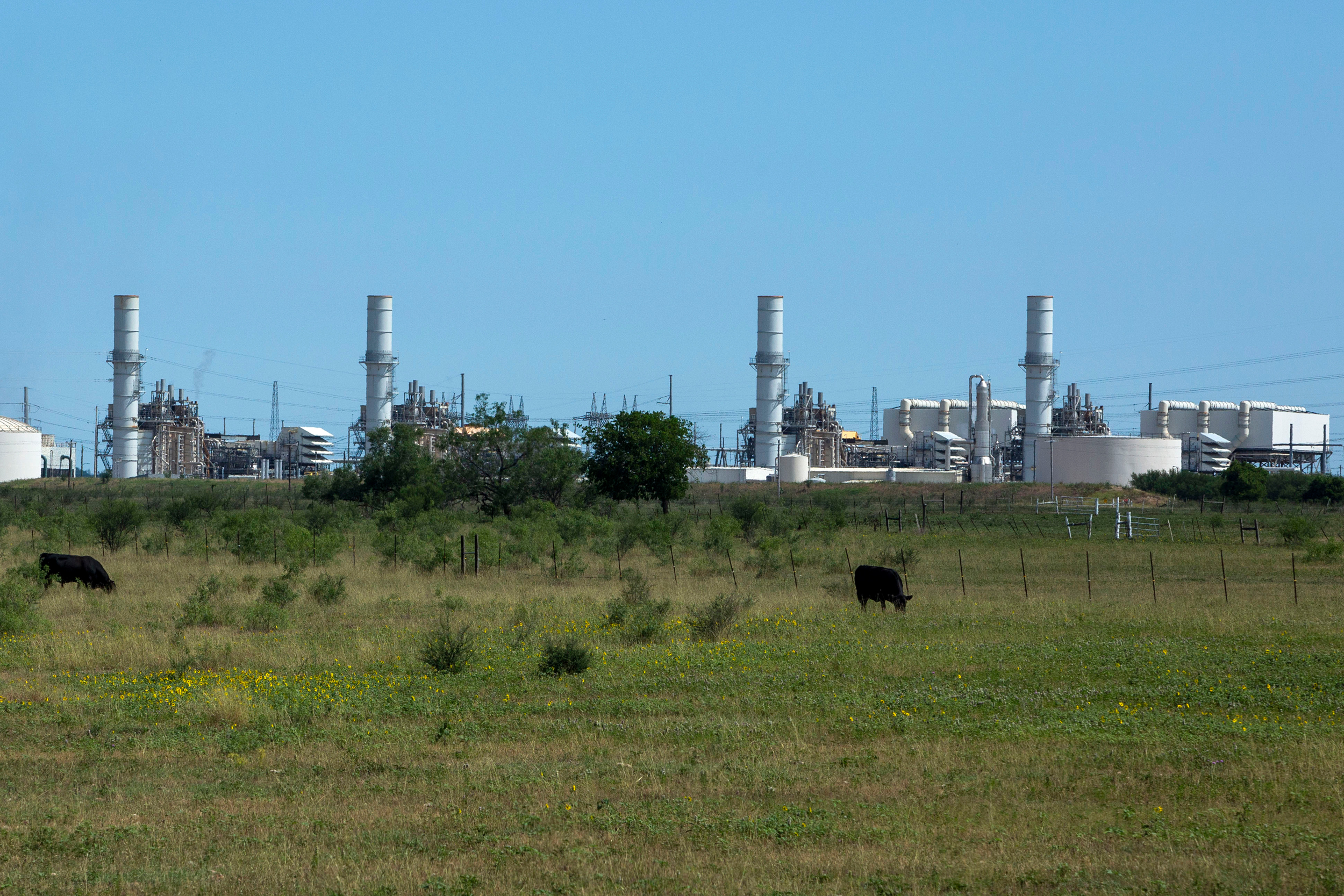 The Hays Energy Project, a 990 MW gas-fired power plant near San Marcos, is seen on May 27. Credit: Dylan Baddour/Inside Climate News