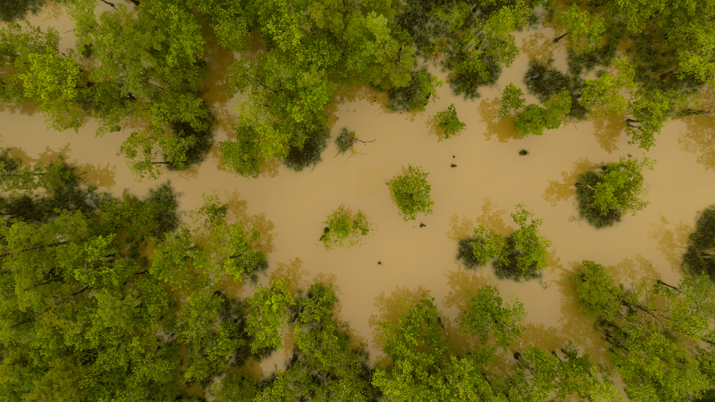 The land in the preserve frequently floods and many parts are only accessible by boat. Credit: Hunter Nichols/TNC