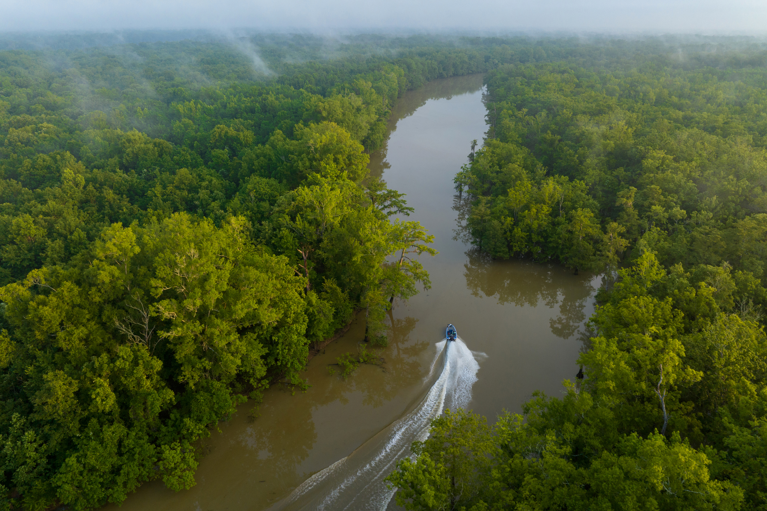 The future E.O. Wilson Land Between the Rivers Preserve encompasses almost 8,000 acres between the Tombigbee and Alabama Rivers, including numerous streams, bogs and oxbow lakes. Credit: Hunter Nichols/TNC