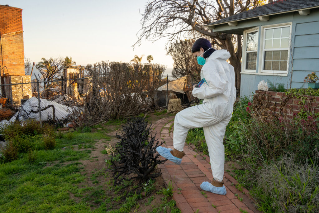 River snaps twigs off of a chard boxwood with her foot. This is the first time she and her brother Leaf have seen their yard since the fires.