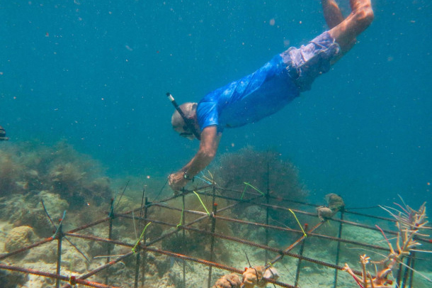 Stanford University professor of biology and oceans Steve Palumbi samples corals in the country of Palau. His work focuses on testing and growing the number of heat-resistant corals. Credit: Dan Griffin