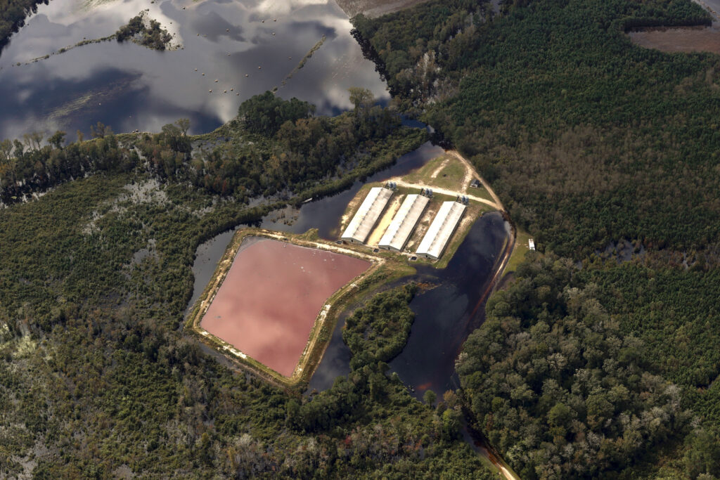 Hurricane Matthew flooded hundreds of industrialized swine farms in eastern North Carolina, including this operation in Craven County. Credit: Rick Dove