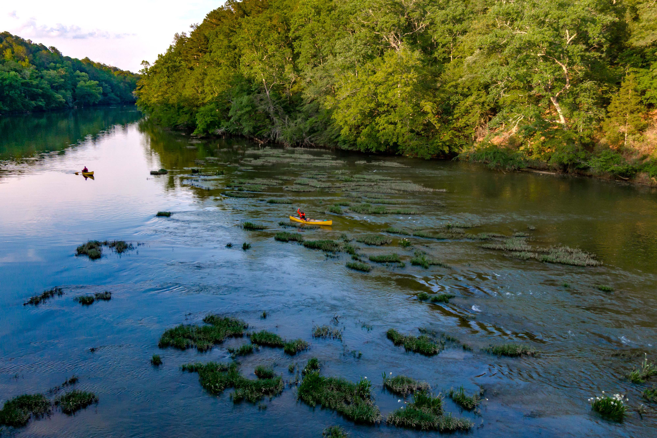 Kayakers paddle through a thicket of Cahaba lilies in late May. Credit: Lee Hedgepeth/Inside Climate News