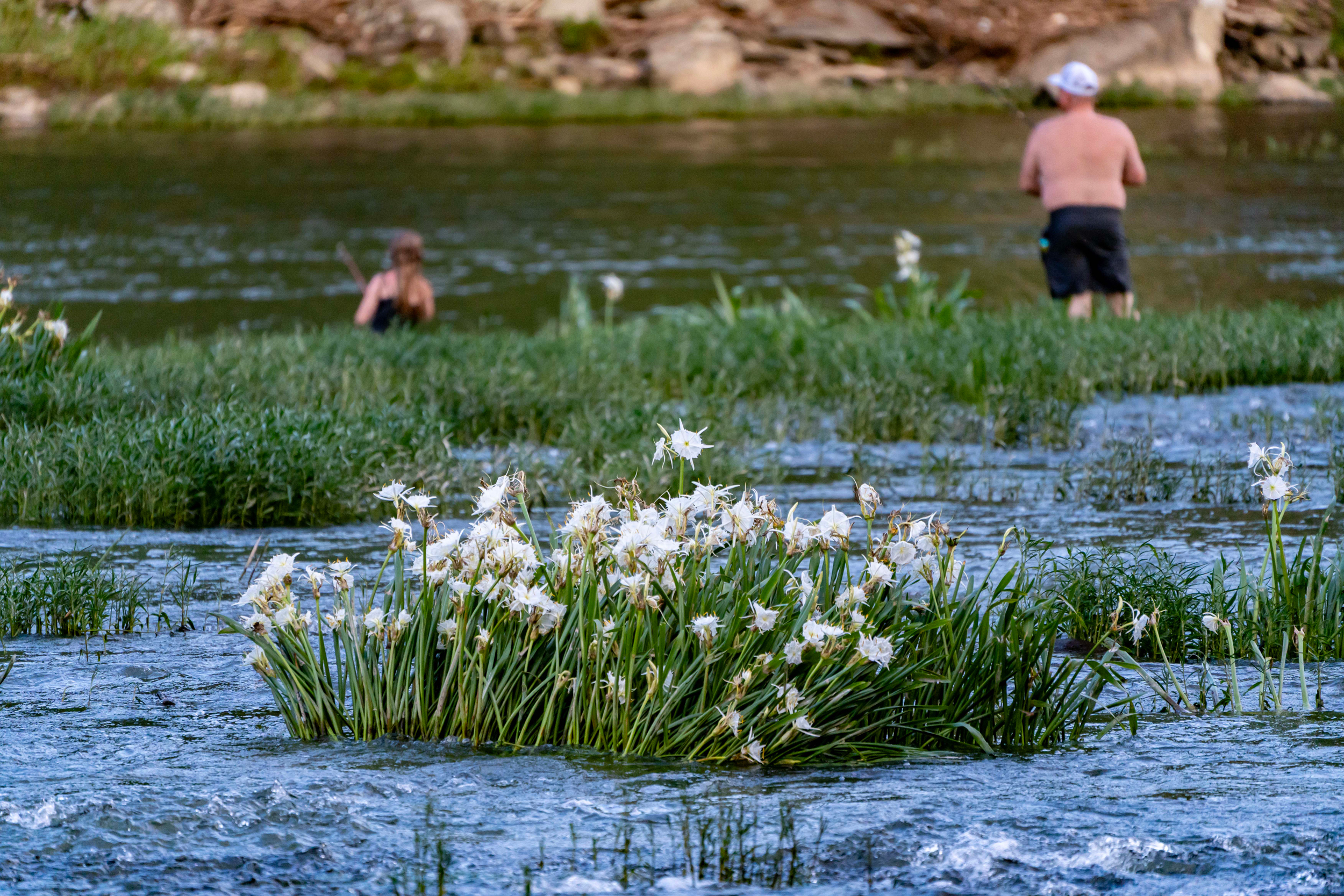 A father and daughter fish in the Cahaba River as lilies bloom behind them. Credit: Lee Hedgepeth/Inside Climate News