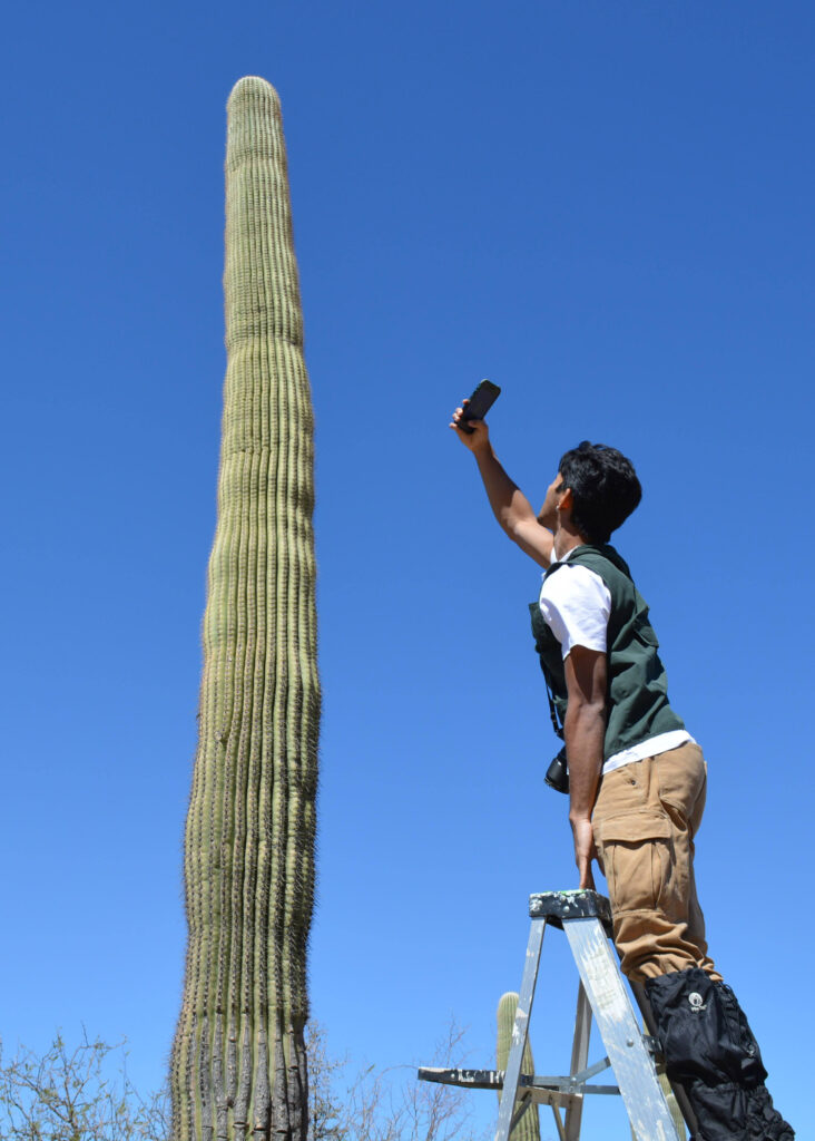 Jinsu Elhance uses his phone’s LiDAR technology to scan a cactus and create a 3D image. Credit: Wyatt Myskow/Inside Climate News