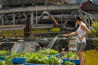 Volunteer Jessica Wilks waters the plants of the Hell’s Kitchen Farm Project with the bridges of the Port Authority in the background. Credit: Ryan Krugman/Inside Climate News