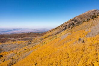 The image shows forested land in fall colors in Utah