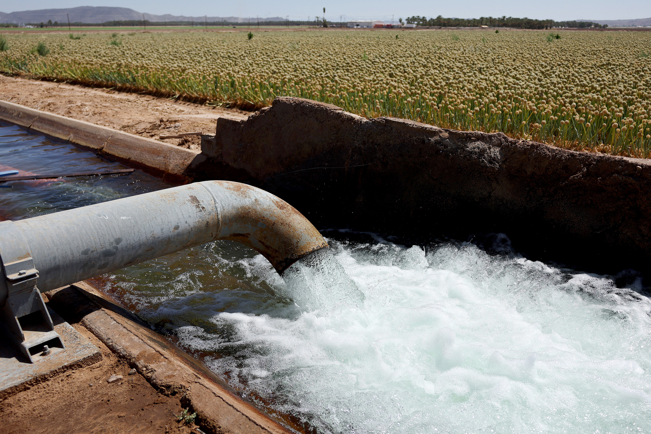 A groundwater pump supplies water to Quechan tribal land at the Fort Yuma Indian Reservation, along the Colorado River, on May 26, 2023, near Winterhaven, Calif. Credit: Mario Tama/Getty Images