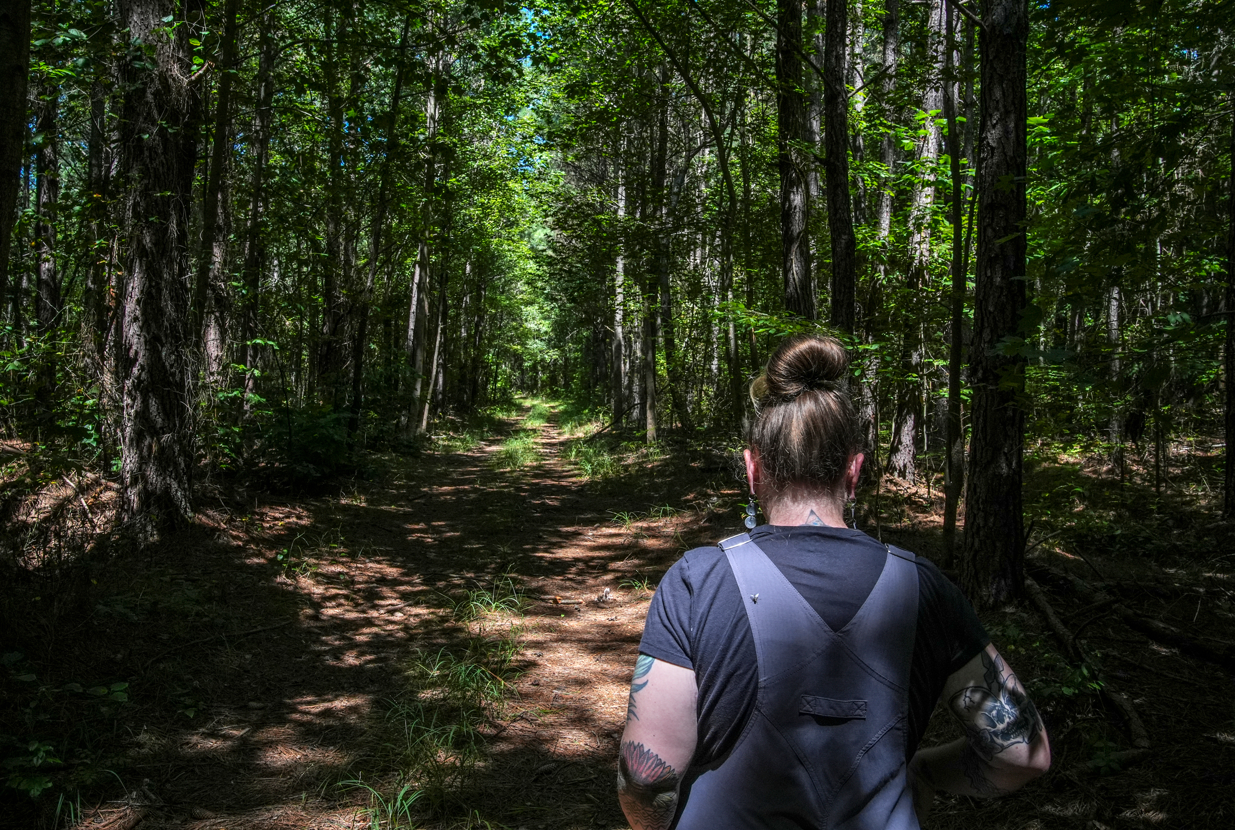 Allyson Gray, of the Pamunkey Indian Tribe, strolls the land called Dragon Run, swampy land that was inhabited by indigenous groups who fled persecution in the early days of American colonialism on Aug. 23, 2024, near Center Cross, Va. Credit: Jahi Chikwendiu/The Washington Post via Getty Images
