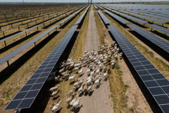 An aerial view of the Azure Sky Solar Project in Haskell, Texas, on August 12, 2024. Credit: Ramsay de Give/The Washington Post via Getty Images