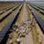 An aerial view of the Azure Sky Solar Project in Haskell, Texas, on August 12, 2024. Credit: Ramsay de Give/The Washington Post via Getty Images