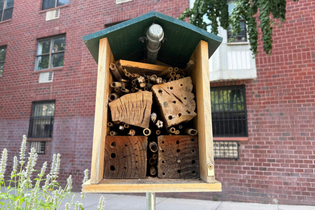 A handmade bee hotel in Brooklyn. Credit: Lauren Dalban/Inside Climate News