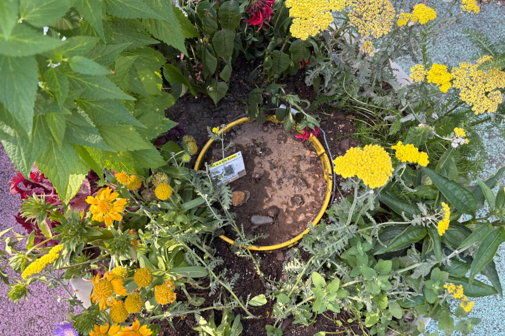 Bee bunker in a street planter in Brooklyn. Credit: Lauren Dalban/Inside Climate News