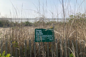 A view of the area where the local nonprofit Rockaway Initiative for Sustainability and Equity is working in Far Rockaway, a neighborhood in Queens, New York City. Credit: Lauren Dalban/Inside Climate News