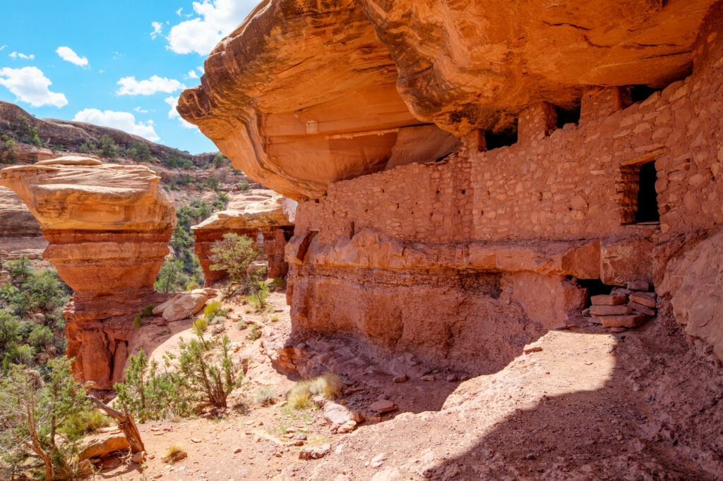 A view of Bears Ears National Monument’s Moon House in southeastern Arizona. Credit: Bob Wick/BLM