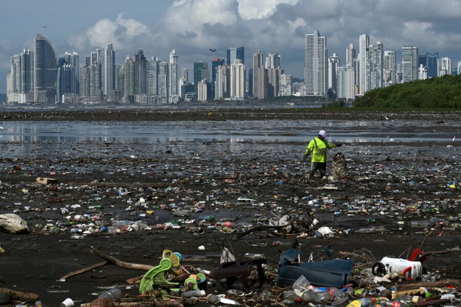 Every two weeks at the beach of Costa del Este, in Panama City, marine biology students descend about five meters in the sea to take care of a coral nursery of the staghorn species in Portobelo, Panama, with which they aim to restore reefs damaged by climate change and pollution. Credit: Luis Acosta/AFP via Getty Images