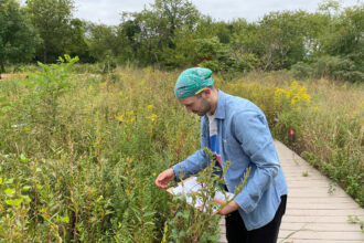 The Jamaica Bay-Rockaway Parks Conservancy conducts field work at a pollinator garden in Jamaica Bay Wildlife Refuge. Credit: Jamaica Bay-Rockaway Parks Conservancy