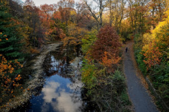 A view of Prospect Park in the fall. Credit: Elizabeth Keegin Colley