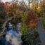 A view of Prospect Park in the fall. Credit: Elizabeth Keegin Colley