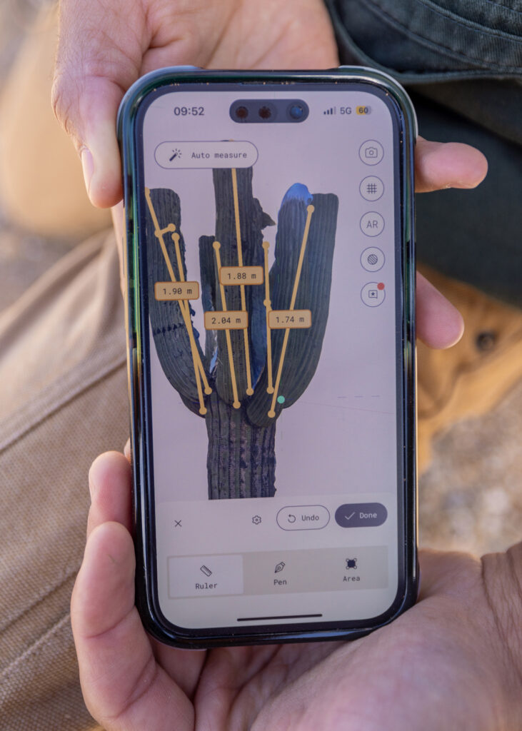 The 3D image shows how tall the cactus is and how many limbs it features, allowing the researchers to estimate its age. Credit: John Burcham/SPUN