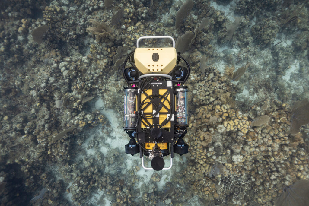 The autonomous underwater vehicle CUREE (Curious Underwater Robot for Ecosystem Exploration) conducts a seafloor survey at Tektite Reef in St. John. Credit: Dan Mele/Woods Hole Oceanographic Institution