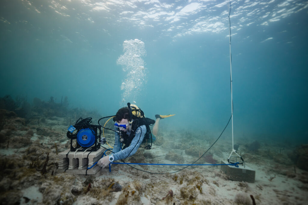 Research assistant Nate Formel from WHOI’s Sensory Ecology and Bioacoustics Lab adjusts an underwater speaker that is part of a Reef Acoustic Playback System designed to encourage coral larvae to settle and help rebuild a degraded reef in Salt Pond, St. John. Credit: Dan Mele/Woods Hole Oceanographic Institution