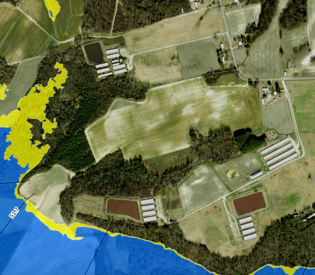 Satellite imagery shows three industrialized hog farms in Greene County, N.C. The blue area represents the 100-year floodplain—a 1 percent chance of flooding annually. The yellow indicates the 500-year floodplain, equivalent to a 0.2% chance of flooding. With climate change, those areas are flooding more often. Credit: NC Emergency Management Flood Risk Information System