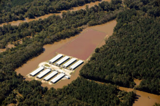 An industrialized swine farm in Wayne County, N.C., is covered in flood water during Hurricane Matthew in 2016. Credit: Rick Dove