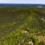 The site of the proposed Bessemer data center is currently a nearly 700-acre wooded plot. Construction would require the clearcutting of more than 100 acres. Credit: Lee Hedgepeth/Inside Climate News