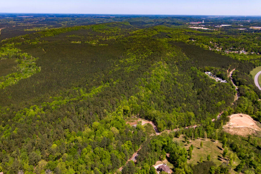 The site of the proposed Bessemer data center is currently a nearly 700-acre wooded plot. Construction would require the clearcutting of more than 100 acres. Credit: Lee Hedgepeth/Inside Climate News