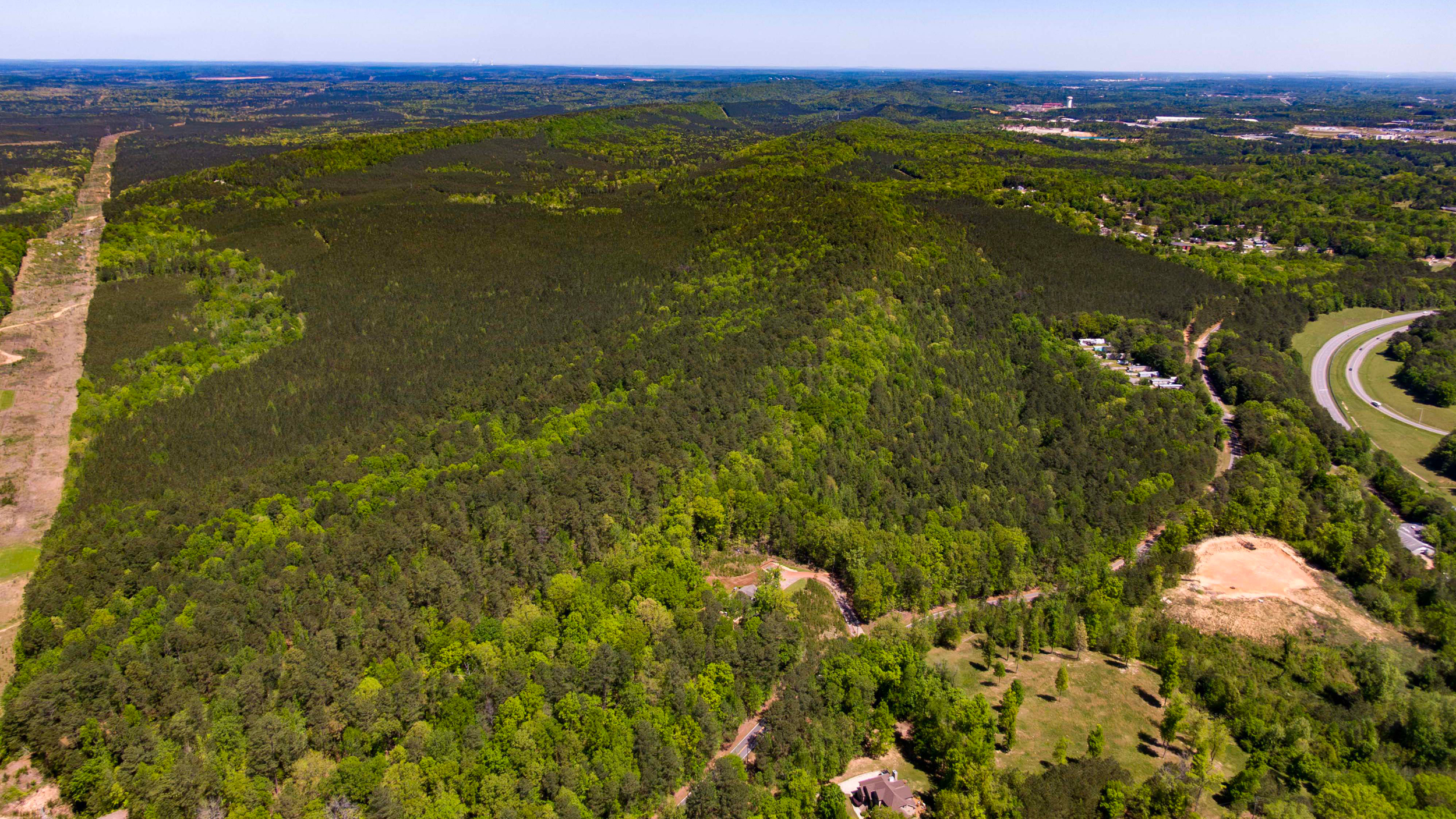 The site of the proposed Bessemer data center is currently a nearly 700-acre wooded plot. Construction would require the clearcutting of more than 100 acres. Credit: Lee Hedgepeth/Inside Climate News