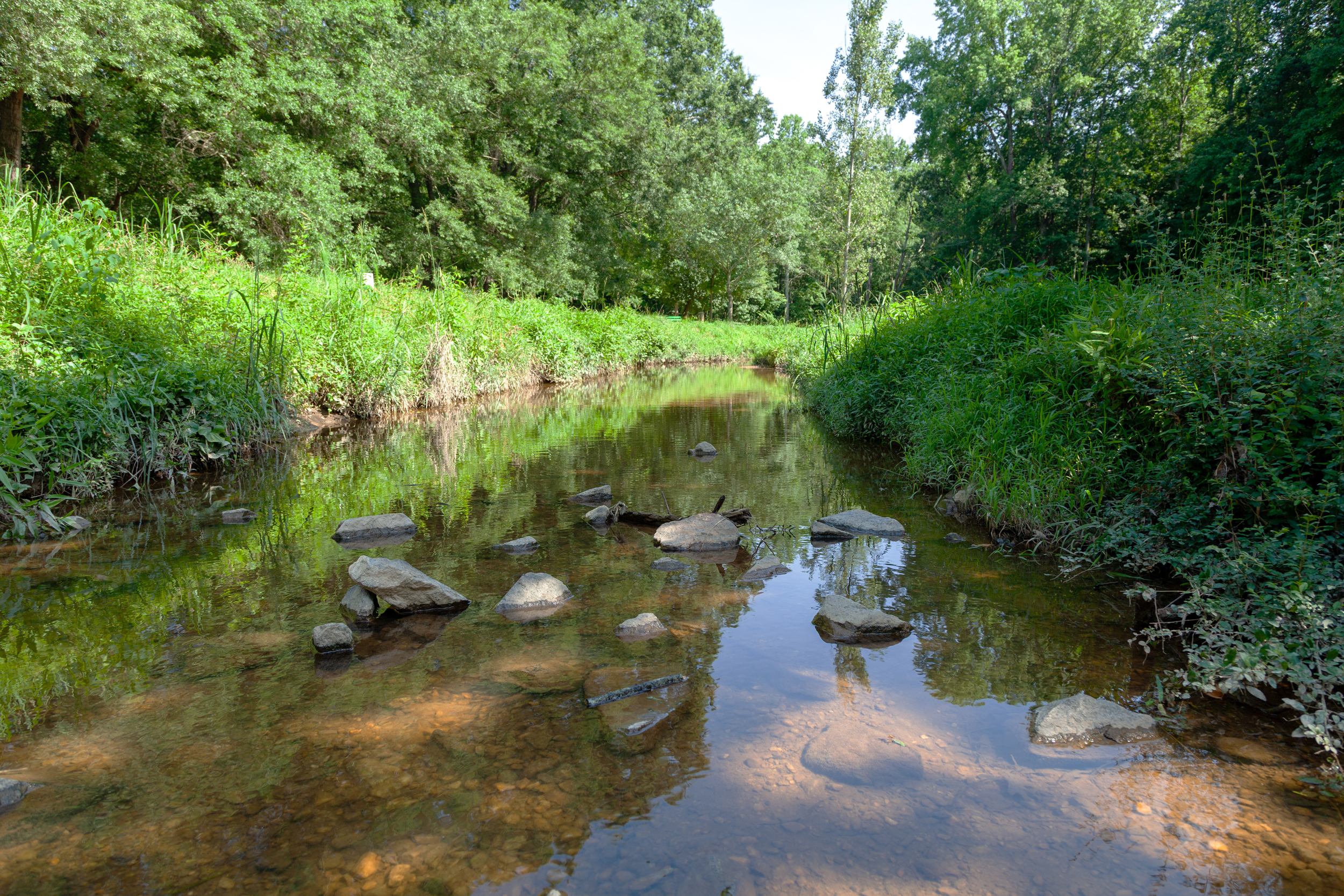 The upstream portion of Haskett Creek runs through North Asheboro Park. All seven miles of the creek are on the federal impaired waters list because of pollution. Credit: Lisa Sorg/Inside Climate News