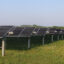 A view of Dominion Energy’s Myrtle Solar project in Suffolk, Va. Credit: Charles Paullin/Inside Climate News