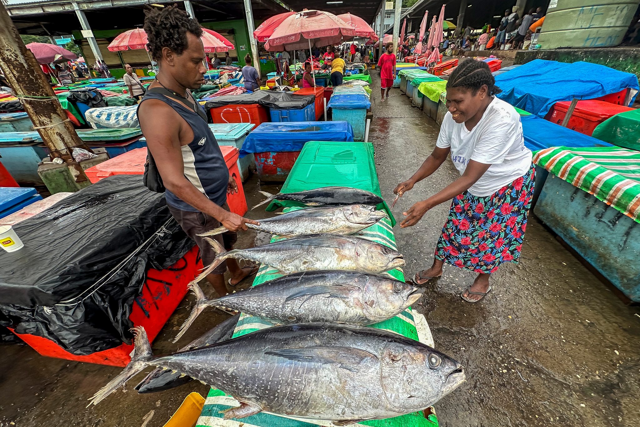 Vendors set tuna out on display tables at the Honiara market, where seafood can be found from around the islands. Credit: Nathan Eagle/Civil Beat