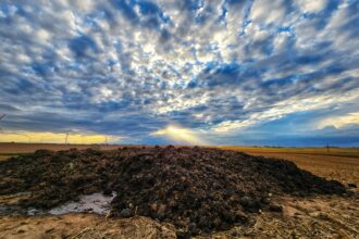In the image, the sky is dramatically blue with interesting clouds above the manure and fields
