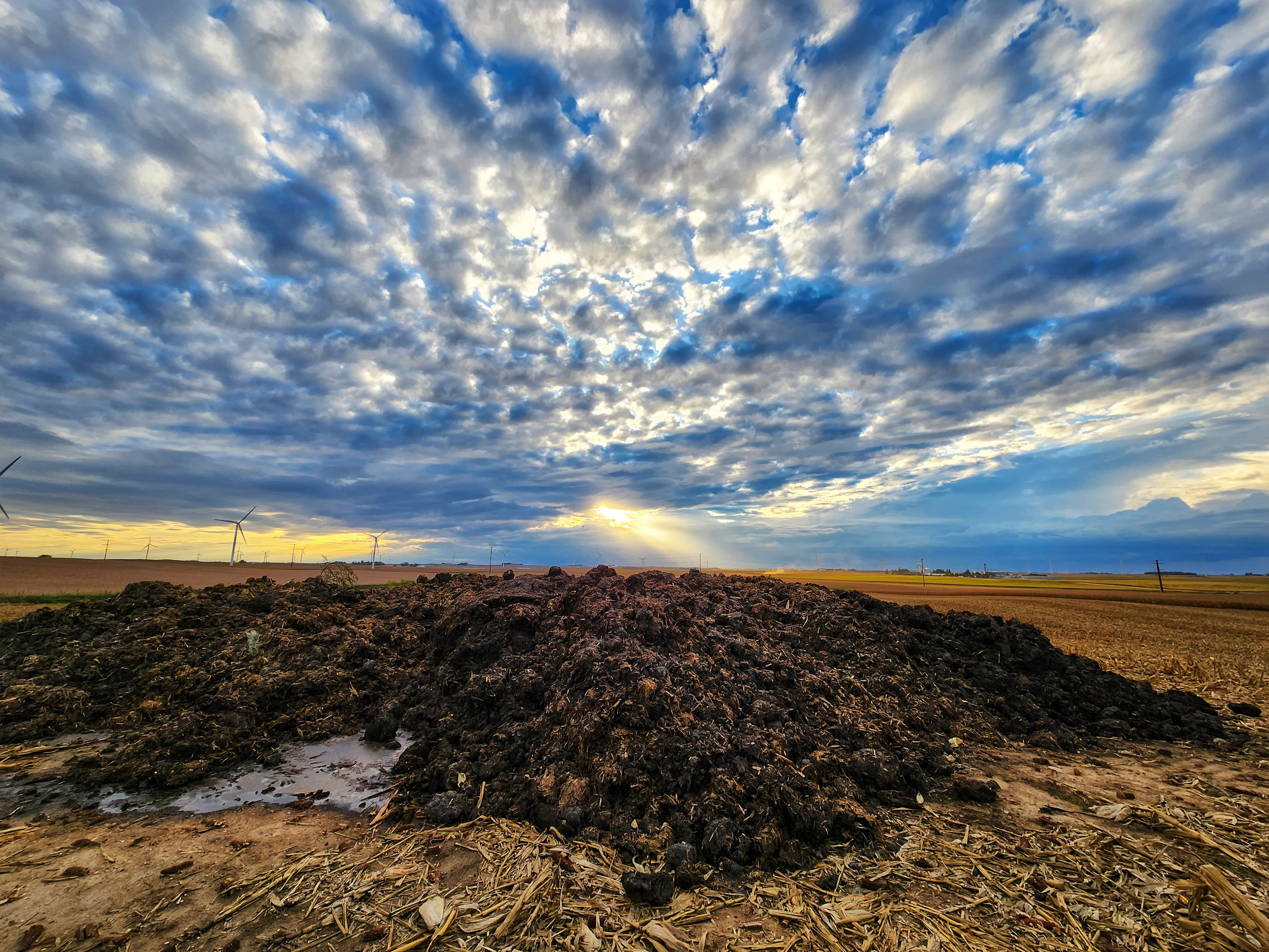 In the image, the sky is dramatically blue with interesting clouds above the manure and fields