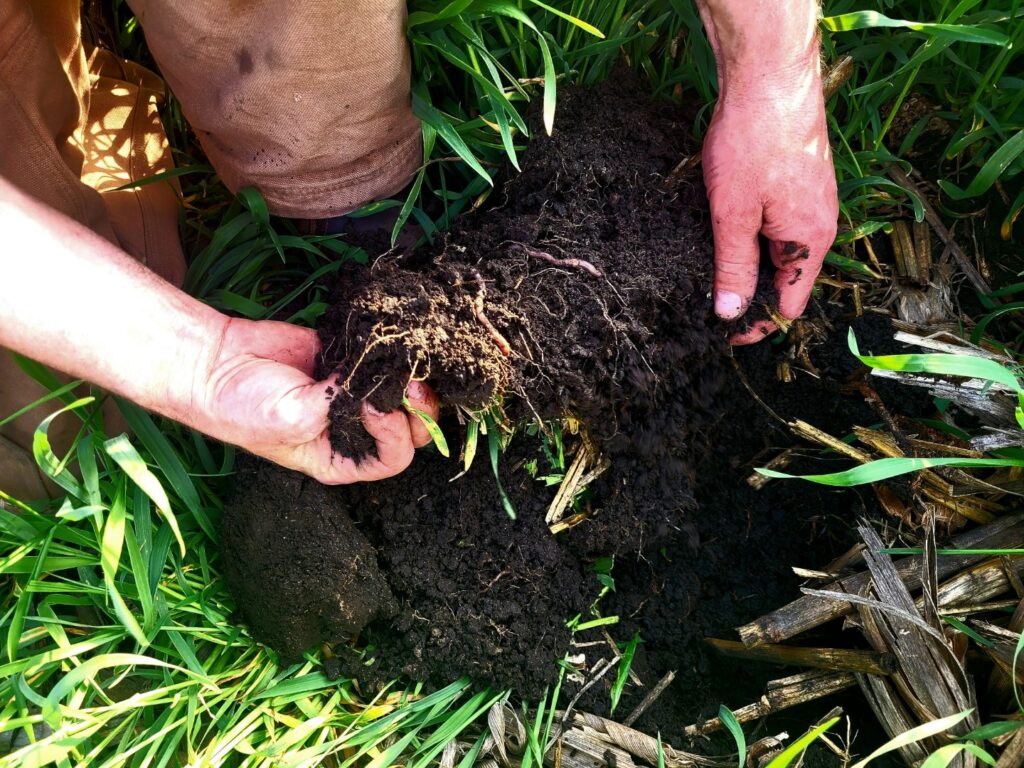 A farmer's hands are shown turning up rich-looking soil